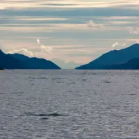 ¿Cómo será la operación de búsqueda más grande del monstruo del lago Ness?