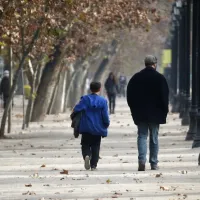 ¿Qué dijo el Gobierno sobre no renovar contratos a deudores de pensión alimenticia?