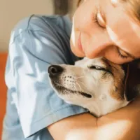 ¿Buscas pasaje? Línea de buses interregionales dejará viajar con mascotas en asientos