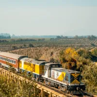 Tren del Recuerdo: Horarios y precios para el viaje de Santiago a Viña en Año Nuevo