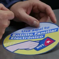 ¿Revisaste si tienes el Bolsillo Electrónico Familiar? Ya iniciaron los pagos de enero 2024