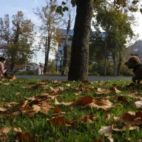 ¿Cuándo empieza el otoño? Descubre cuándo acaba el verano y empieza una nueva estación