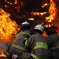 ¿Qué pasa cuando hay incendios forestales? Las graves sanciones cuando son intencionales