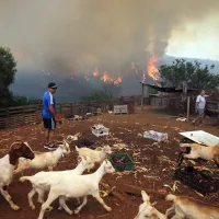 El mundo del fútbol relata lo vivido por los incendios en la Quinta Región: \&#039;Es como una película de terror\&#039;