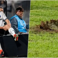 Almirón afirma por lesión de César Fuentes que \&#039;no puedo decir que fue por la cancha\&#039;