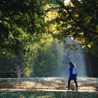 ¿Cuánto dura el otoño? Fechas y cuándo es invierno, primavera y el regreso del verano