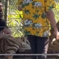 Nervios de acero: Ronnie Fernández se luce posando con un tigre en Malasia
