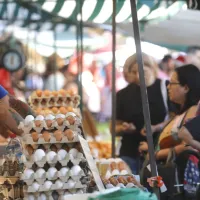 ¿Cuál es el criterio utilizado para determinar quiénes reciben el Bolsillo Familiar Electrónico?