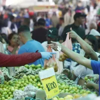 ¿A quiénes se les reactivará el Bolsillo Familiar Electrónico? Atención nuevos beneficiarios