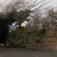 Alertan por probable tornado en el sur de Chile: ¿Cuándo y dónde será el fenómeno?