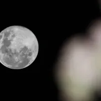 Fenómenos astronómicos 2024: ¿Qué es la Luna de Ciervo y qué día de julio se podrá ver?