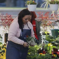 ¿Qué bonos para mujeres hay en Chile? Estos son los beneficios a pagarse en agosto