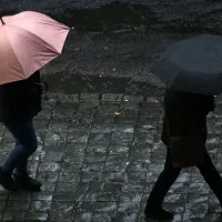 ¿En qué comunas no hay luz? Reportan sectores con corte de suministro por fuerte temporal