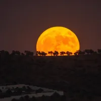 Primer Super Luna 2024: ¿Cuándo es la Luna de Esturión y a qué hora se podrá ver?