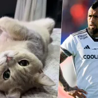 Arturo Vidal alerta la desaparición de su gato \&#039;King\&#039;: inician campaña para buscarlo