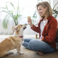 ¿No ayudan a la salud mental? El sorpresivo estudio sobre las mascotas que no te esperabas