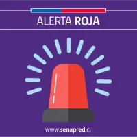 SENAPRED declara alerta roja para Viña del Mar por fuerte incendio forestal