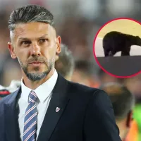 Martín Demichelis vive el susto de su vida al encontrarse con un oso en pleno jardín de su casa