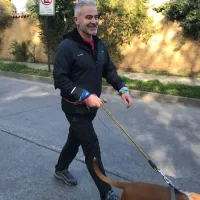 Juvenal Olmos paseará perros en una corrida familiar de La Reina