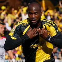 Pronósticos Palestino vs Coquimbo Unido: el campeón de la Liga de Primera visita a los Árabes