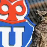 ¿U de Chile perderá el Chuncho y el nombre? Representante de la casa de estudios en Azul Azul y anuncio a los hinchas