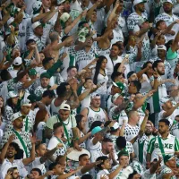 Torcida do Palmeiras se empolga e pede a contratação de craque sul-americano