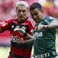 Flamengo, Palmeiras e +3: Os cinco favoritos ao título do Brasileirão de 2024