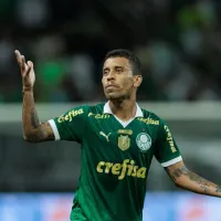 Palpite: Bahia x Palmeiras – Brasileirão – 20/11/2024