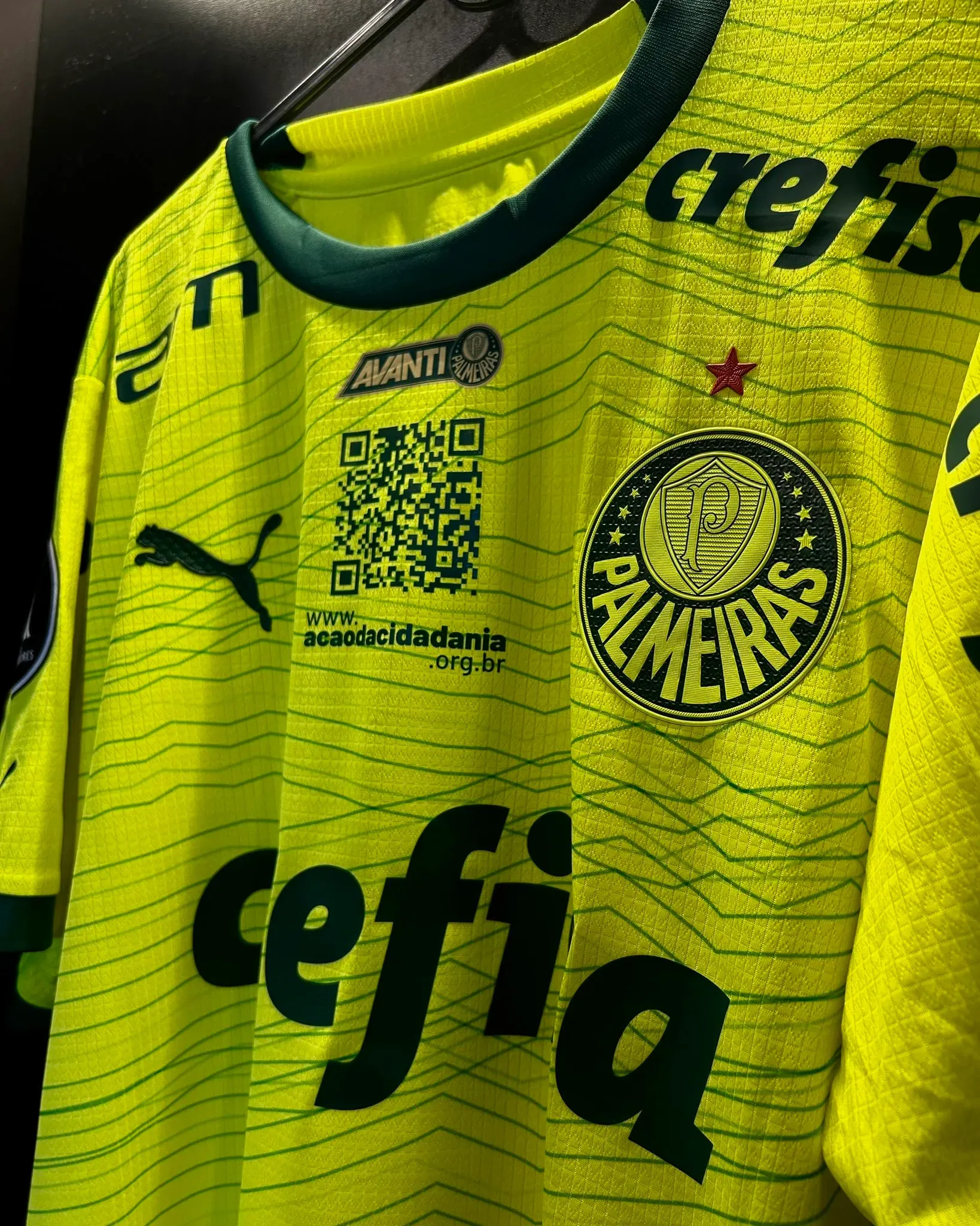 Foto: rede social X / Palmeiras