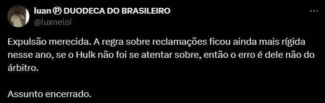 Torcedor do Palmeiras. Foto: Reprodução/ Twitter