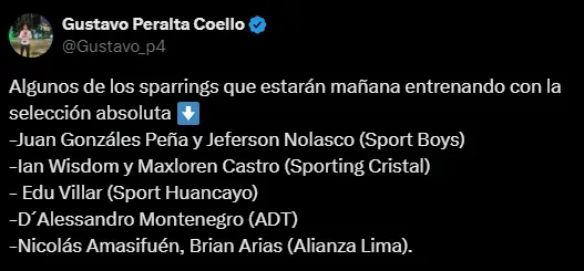 Lista de jugadores para el Sparring de Perú (Foto: X)