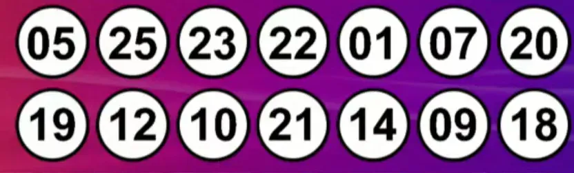 Resultados del Kino: sorteo 2992 del 13 de noviembre de 2024