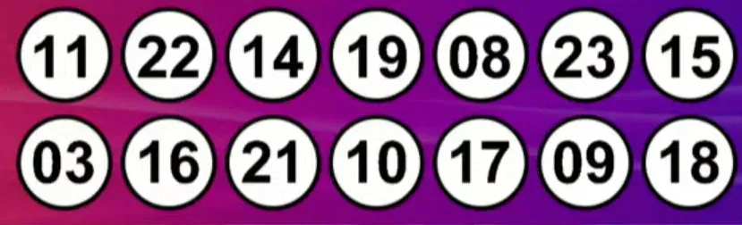 Resultados del Kino: sorteo 3001 del 04 de diciembre de 2024 