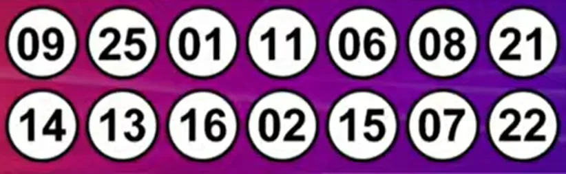 Resultados del Kino: sorteo 2992 del 13 de noviembre de 2024