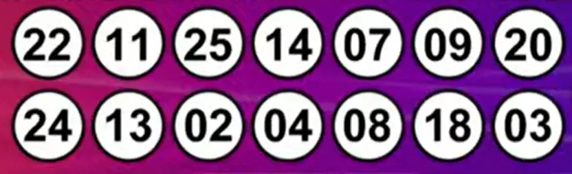 Resultados del Kino: sorteo 2992 del 13 de noviembre de 2024
