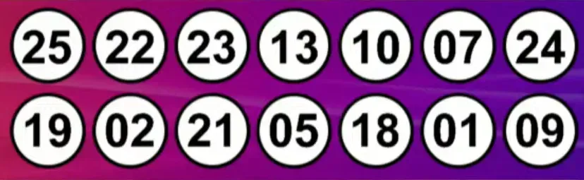 Resultados del Kino: sorteo 2992 del 13 de noviembre de 2024