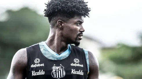 Foto: Ivan Storti/Santos FC - Santos toma decisão em meio a indefinição do caso Bauermann