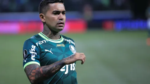 Foto: Ettore Chiereguini/AGIF - Situação de Dudu é atualizada no Palmeiras