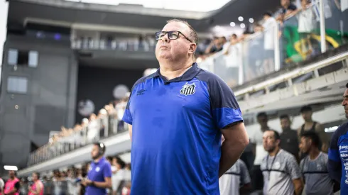 SP - SANTOS - 12/11/2023 - BRASILEIRO A 2023, SANTOS X SAO PAULO - Marcelo Fernandes tecnico do Santos durante partida contra o Sao Paulo no estadio Vila Belmiro pelo campeonato Brasileiro A 2023. Foto: Abner Dourado/AGIF