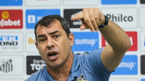 Fábio Carille - Foto: Luiz Erbes/AGIF