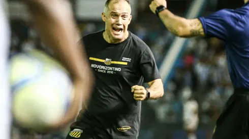 Eduardo Baptista está no comando do Novorizontino desde 2023