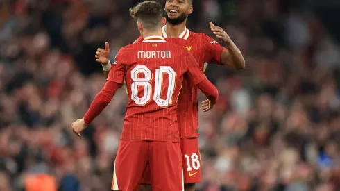 Gakpo comemora gol pelo Liverpool (Sportimage Ltd / Alamy Stock Photo)