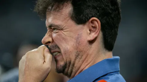 Fernando Diniz técnico do Cruzeiro durante partida contra o Libertad no estadio Mineirao pelo campeonato Copa Sul-Americana 2024. Foto: Fernando Moreno/AGIF
