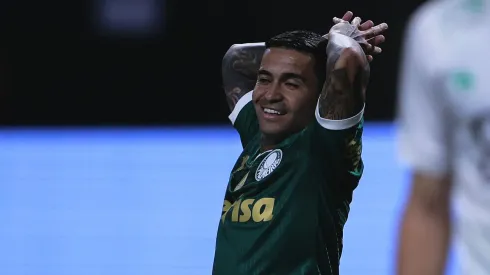 Dudu jogador do Palmeiras durante partida contra o Juventude no estádio Arena Allianz Parque pelo campeonato Brasileiro A 2024. Foto: Ettore Chiereguini/AGIF
