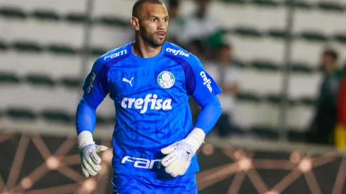 Weverton durante confronto contra o Juventude no Brasileirão 2024.
