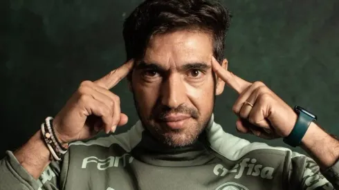 Palmeiras / Divulgação