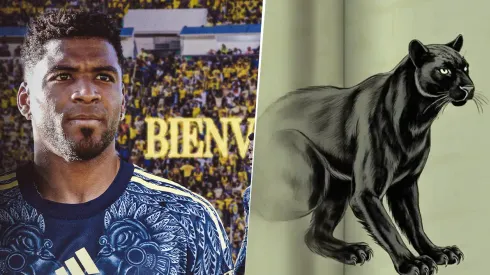 América tiene nuevo refuerzo.
