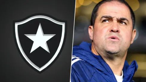 América tendría nuevos problemas por culpa del Botafogo
