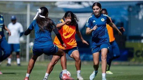 Los internautas están más que felices por ver que una de las figuras con las que más han soñado ya está en Coapa
