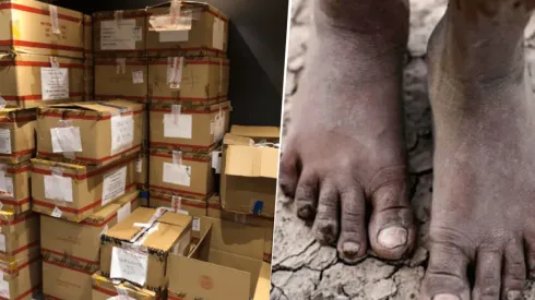 Juntó a Nike, Adidas, Under Armour y más: consiguió más de 600 pares de zapatillas para donar a los pueblos originarios